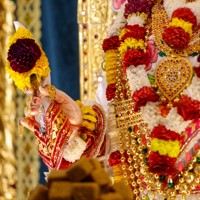 Daily Darshan